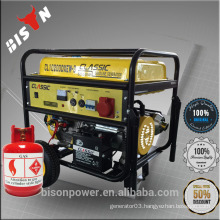 BISON China Taizhou 2.5kw AC Single Phase CE Portable 2.5kva Gas Generator Price Home Use